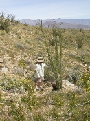 Dave in Anza-Borrego, March 27, 2005 (P3270116)